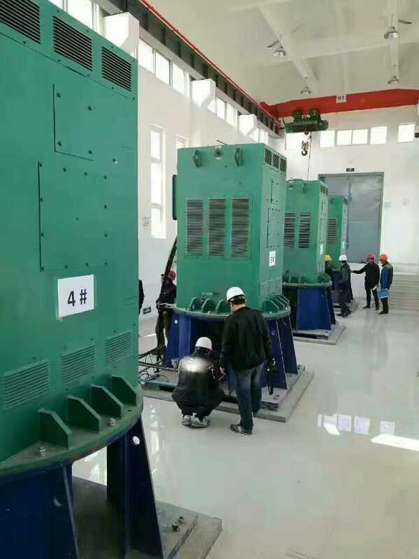 樊城某污水处理厂使用我厂的立式高压电机安装现场