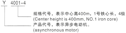 西安泰富西玛Y系列(H355-1000)高压樊城三相异步电机型号说明